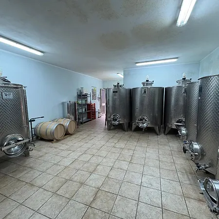 Galeazzi Marsiliana