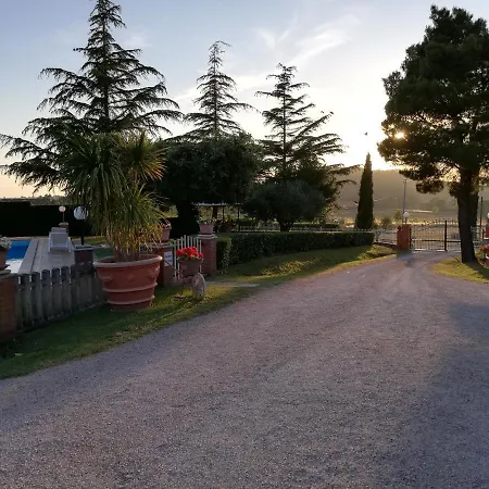 Galeazzi *