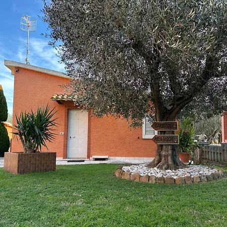 Galeazzi Marsiliana