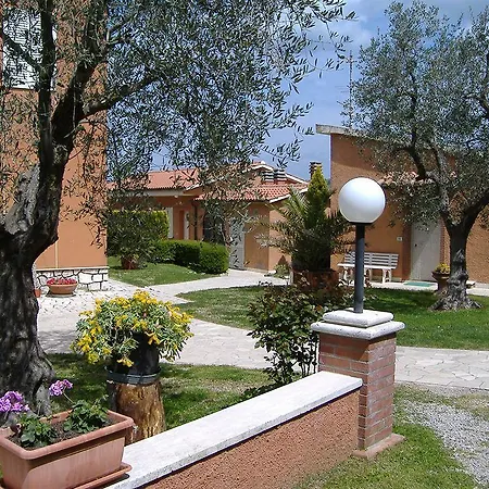 Galeazzi *