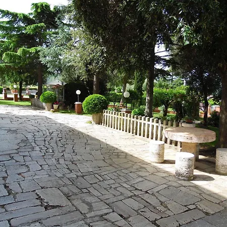 Galeazzi *